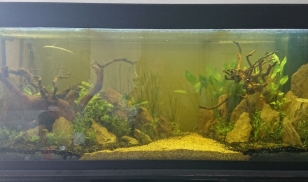 aquarium Rio400