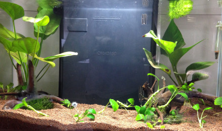 aquarium Ciano 60 Light