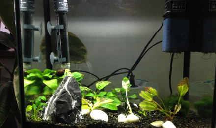 aquarium Superfish 30L