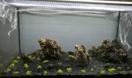 aquarium Dry start aqua