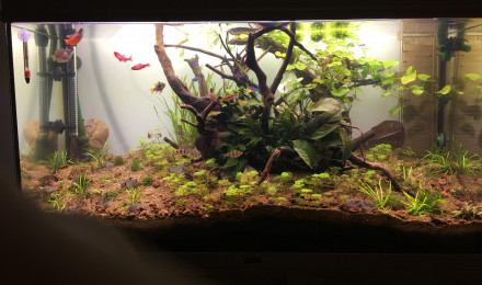 aquarium 180L