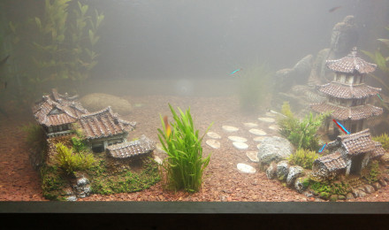 aquarium Table basse