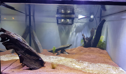 aquarium Gros bac