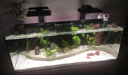 aquarium BAC450L