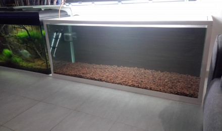 aquarium Biotope amazonien serrasalmus rhombeus