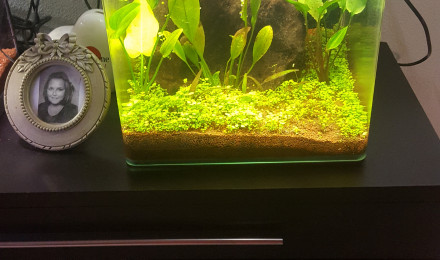 aquarium Nano 30L