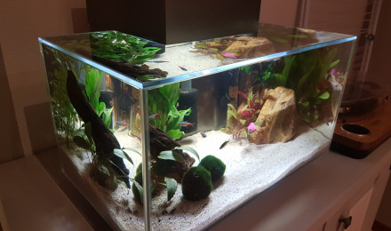aquarium Nano