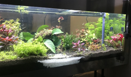 aquarium aqua170