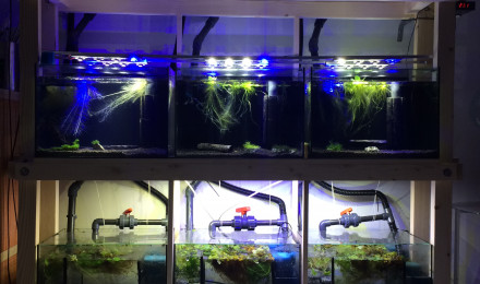 aquarium PRL