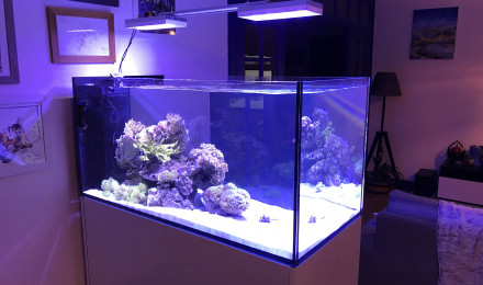 aquarium RedSea Reefer Peninsula 500