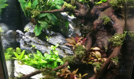 aquarium Nano 10 Litres