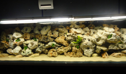 aquarium Bac de 900 L
