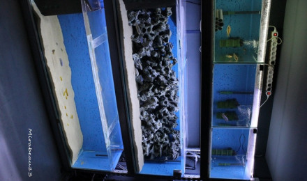 aquarium Batterie 2