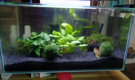 aquarium Fluvial 23
