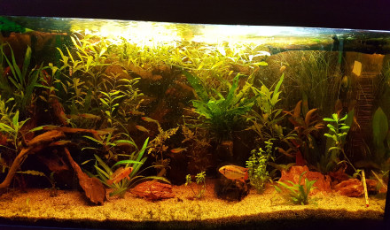 aquarium Rio 125