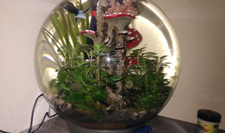 aquarium Oase