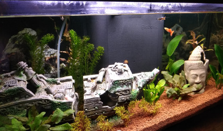 aquarium Autret