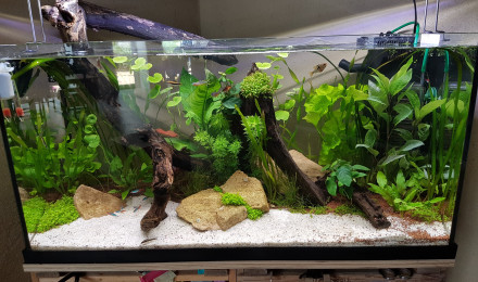 aquarium Juwel Primo 110