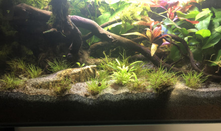 aquarium Nano 25 litres