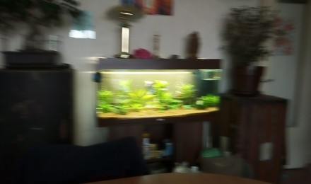 aquarium 180litre
