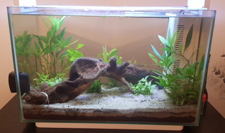 aquarium Aqua paradis