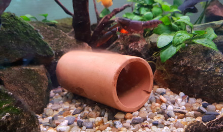 aquarium 400l
