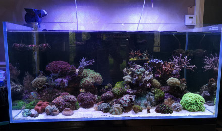 aquarium Aquarium System 570