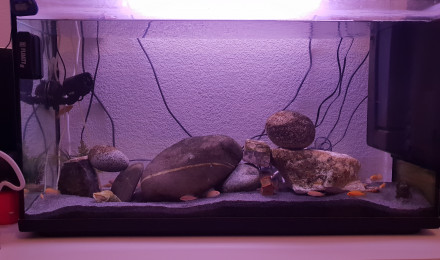 aquarium Le moyen 120L
