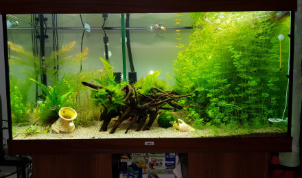 aquarium 350l