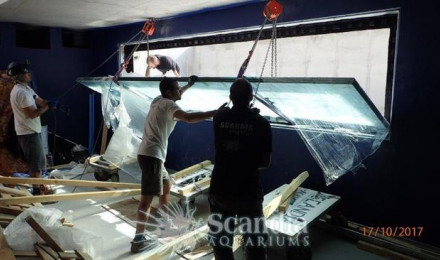 aquarium 100 m3 eau de mer