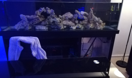aquarium Bac récifal 650l 240l de decante