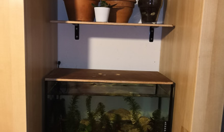 aquarium 40L