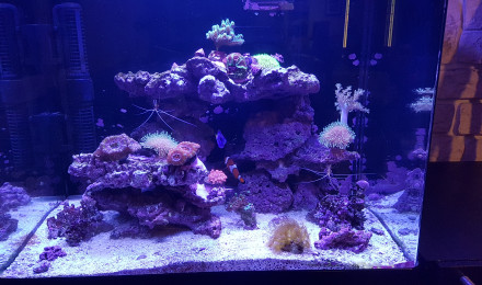 aquarium Mon RS 130