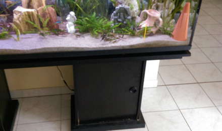 aquarium Scalaires 600l