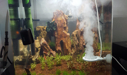 aquarium 30l aquascape crevette CRS
