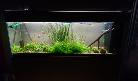 aquarium un