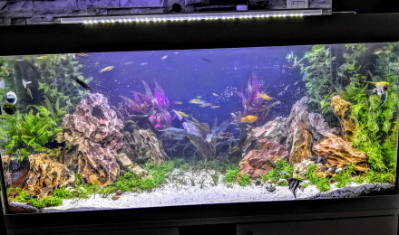 aquarium AQUARIUM VIVALINE LED