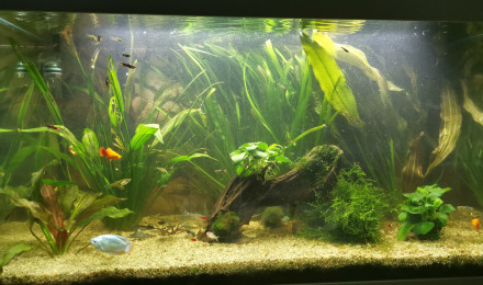 aquarium Aquatlantis