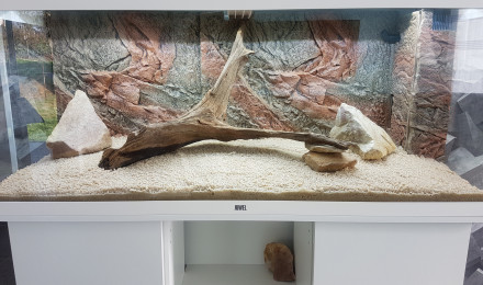 aquarium RIO 240