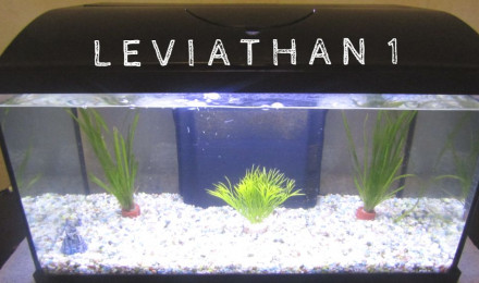 aquarium Léviathan 1