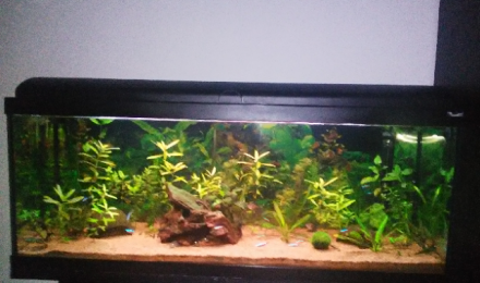 aquarium AQUARIUM 20.12.18