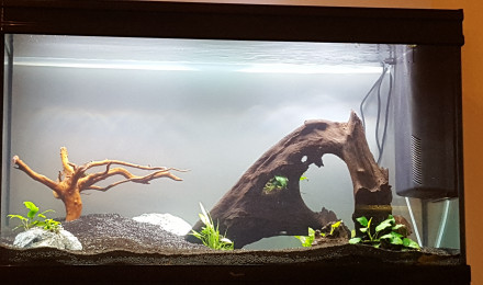 aquarium 200l
