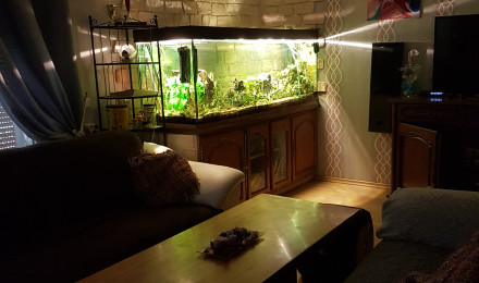 aquarium Aqua salon