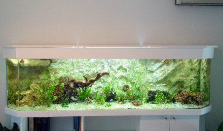 aquarium Principal 750L