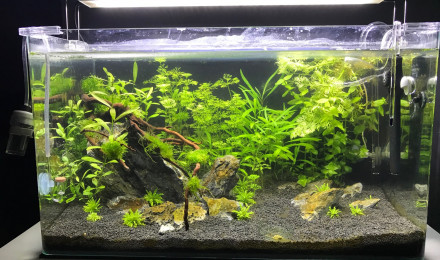 aquarium 80L Blau Cubic