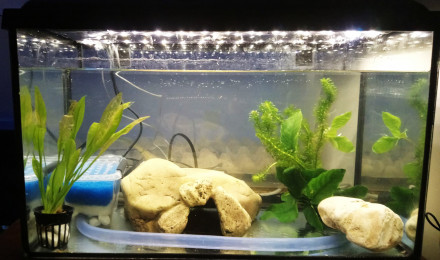 aquarium Aqua 30 Litres