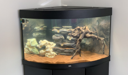 aquarium Qin Shi