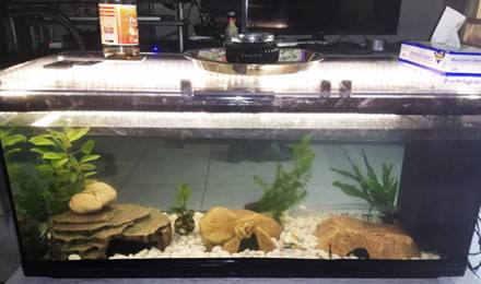 aquarium Aqua 100 Litres