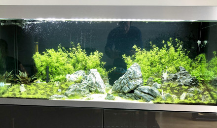 aquarium 400L