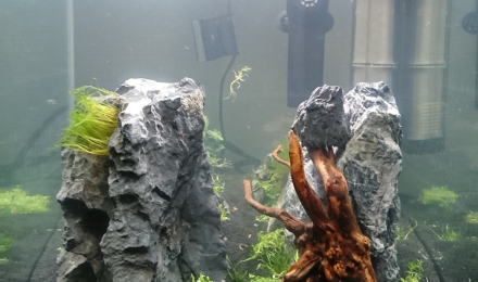 aquarium Nano Cube 60